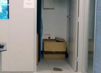 SPL CLM PUERTOLLANO DENUNCIA LA PRESENCIA DE RATAS Y CUCARACHAS EN LAS DEPENDENCIAS POLICIALES